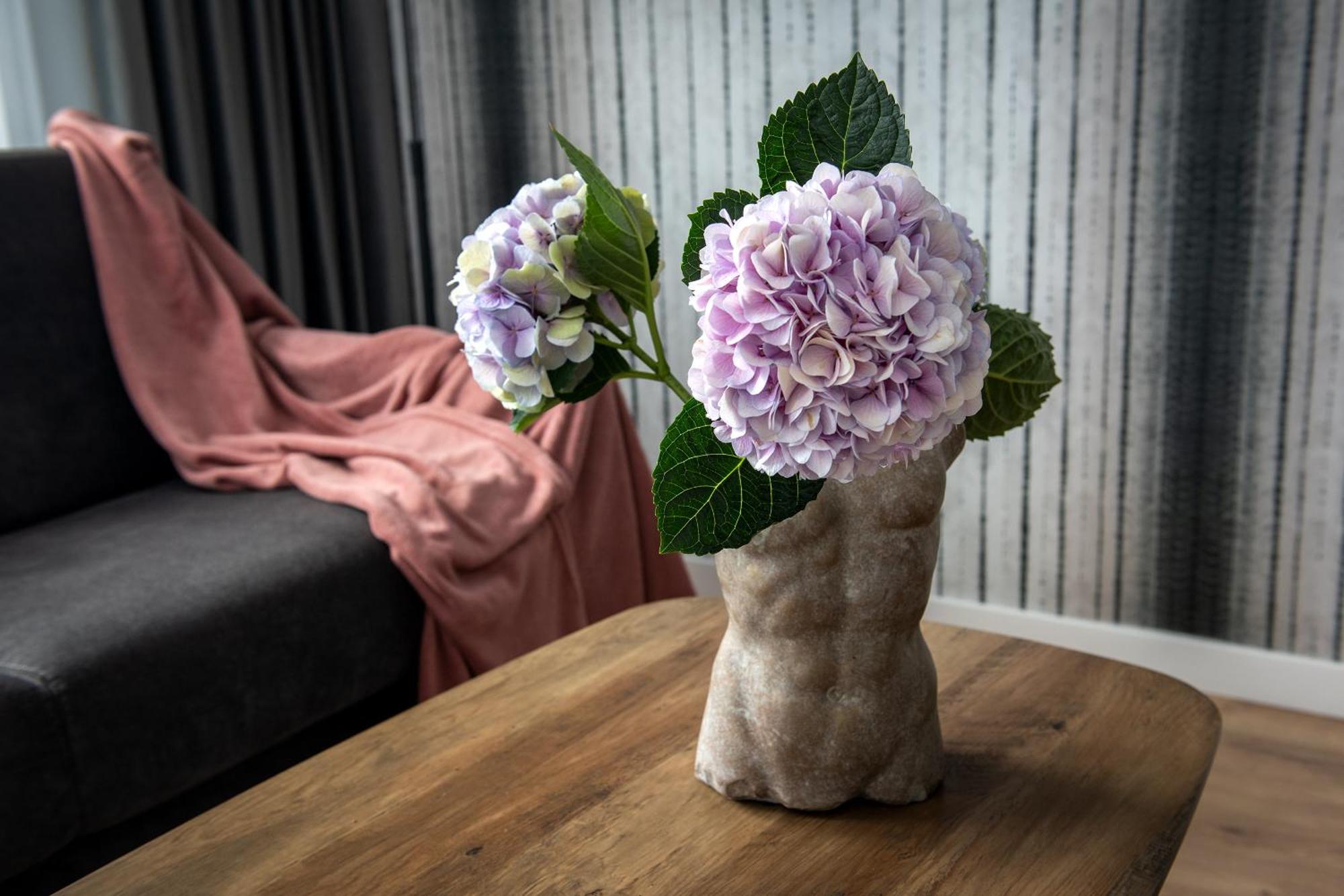 קרקוב Inpoint Spacious Apartments Near Main Square & Kazimierz District חדר תמונה